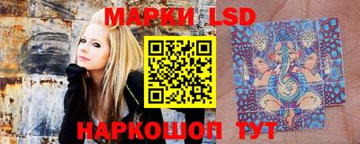 дживик Бийск