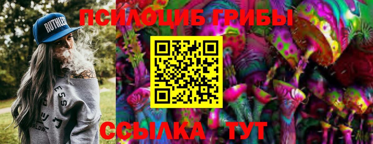 Псилоцибиновые грибы Psilocybine cubensis Елабуга